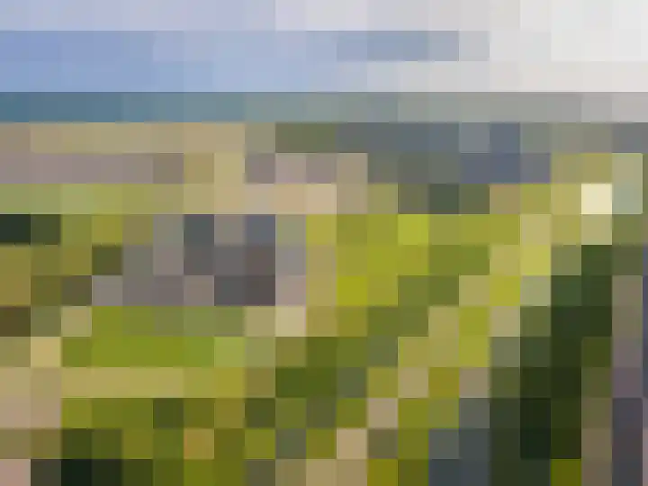 Moerasorchidee 19 Lelystad thumbnail 20