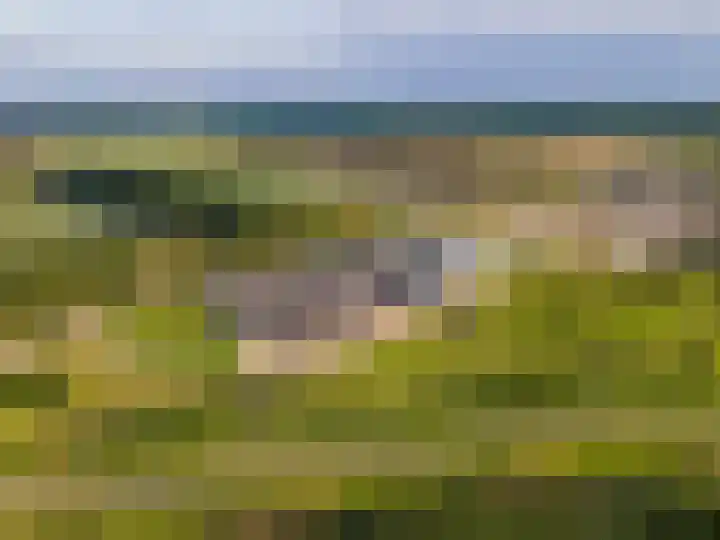 Moerasorchidee 19 Lelystad thumbnail 22