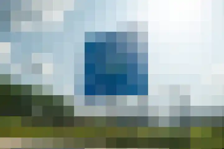 Moerasorchidee 19 Lelystad thumbnail 6