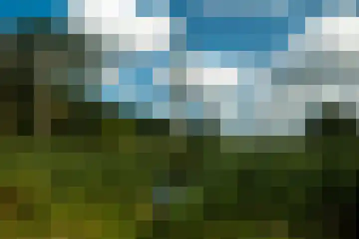 Moerasorchidee 19 Lelystad thumbnail 7