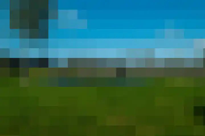 Moerasorchidee 19 Lelystad thumbnail 8