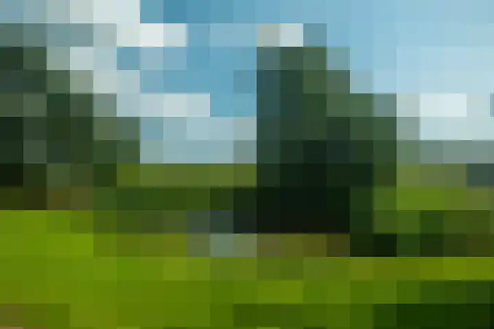 Moerasorchidee 19 Lelystad thumbnail 9