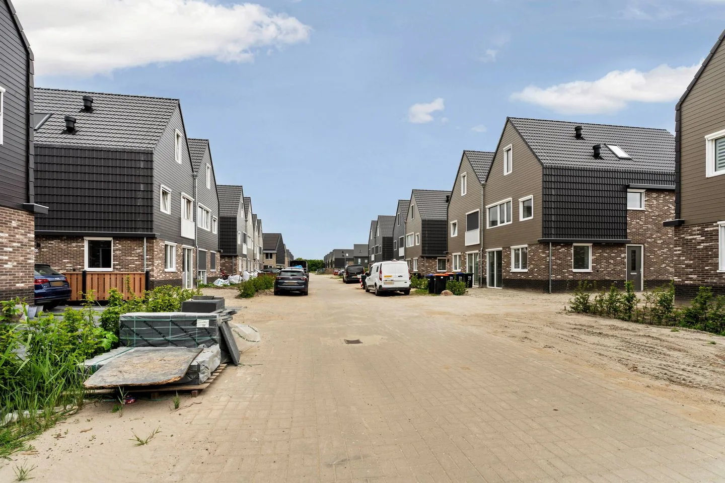 Moerasorchidee 31 Lelystad thumbnail 8