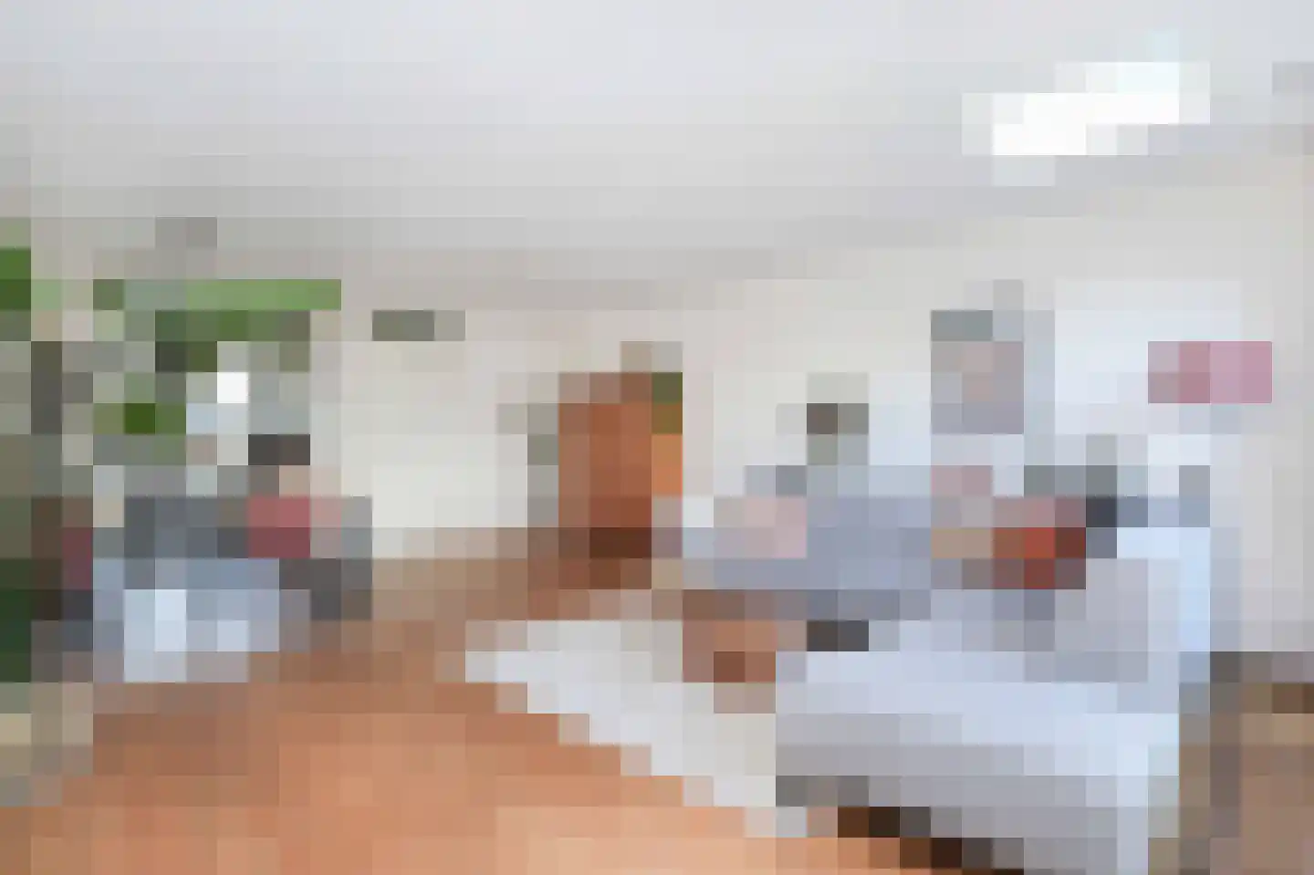 Moerasslak 10 Amersfoort thumbnail 10