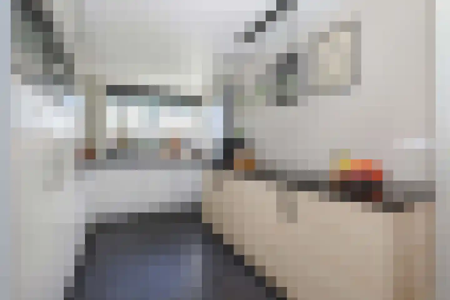 Moerasslak 10 Amersfoort thumbnail 12
