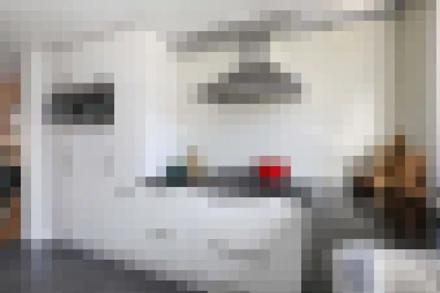 Moerasslak 10 Amersfoort thumbnail 15