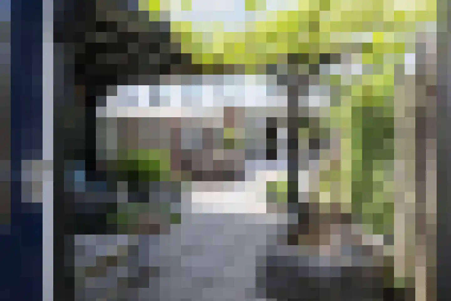 Moerasslak 10 Amersfoort thumbnail 30