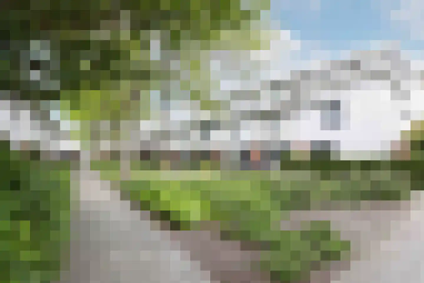 Moerasslak 10 Amersfoort thumbnail 33