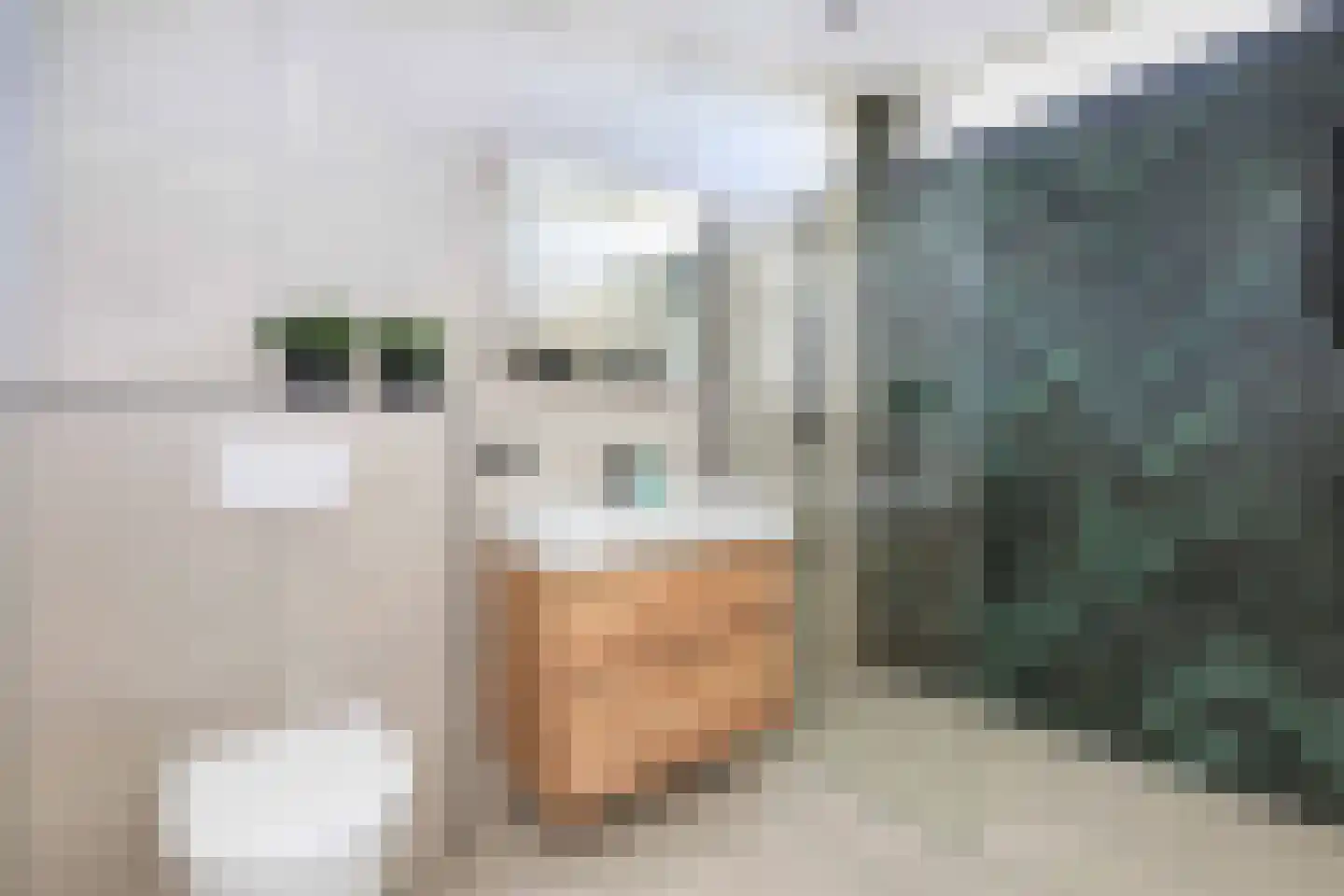 Moerasslak 10 Amersfoort thumbnail 4