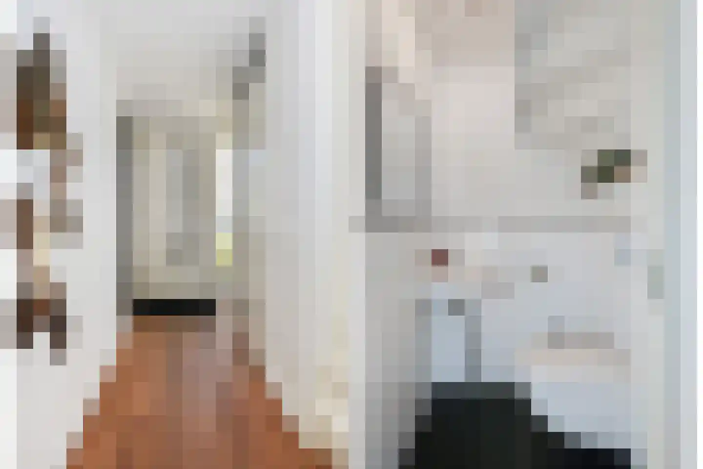 Moerasslak 10 Amersfoort thumbnail 7
