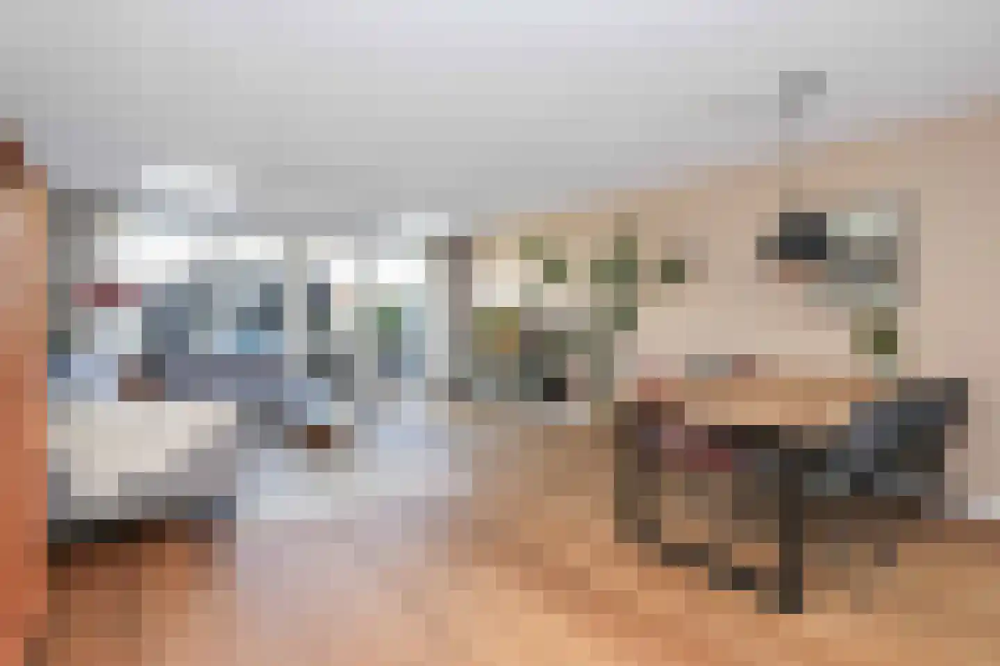 Moerasslak 10 Amersfoort thumbnail 8