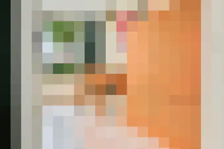 Moerasslak 20 Amersfoort thumbnail 11