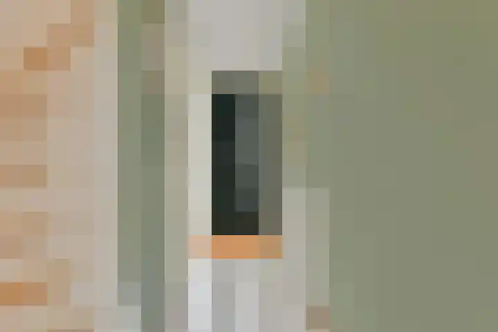 Moerasslak 20 Amersfoort thumbnail 13