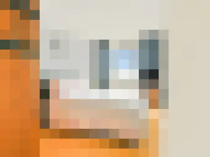 Moerasslak 20 Amersfoort thumbnail 17