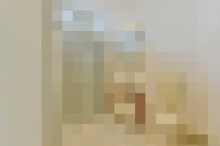 Moerasslak 20 Amersfoort thumbnail 22