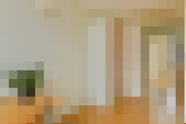 Moerasslak 20 Amersfoort thumbnail 25