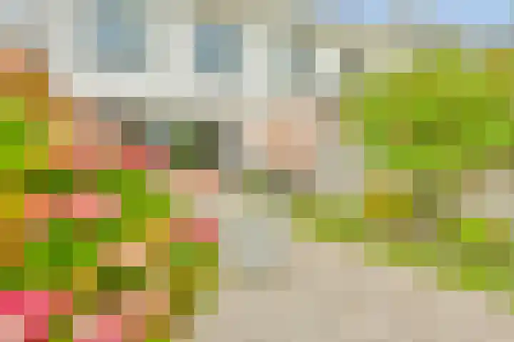 Moerasslak 20 Amersfoort thumbnail 26