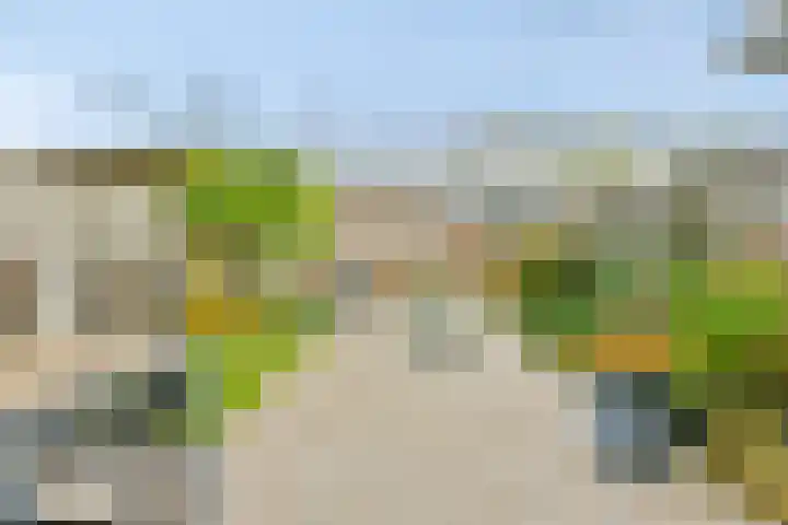 Moerasslak 20 Amersfoort thumbnail 27