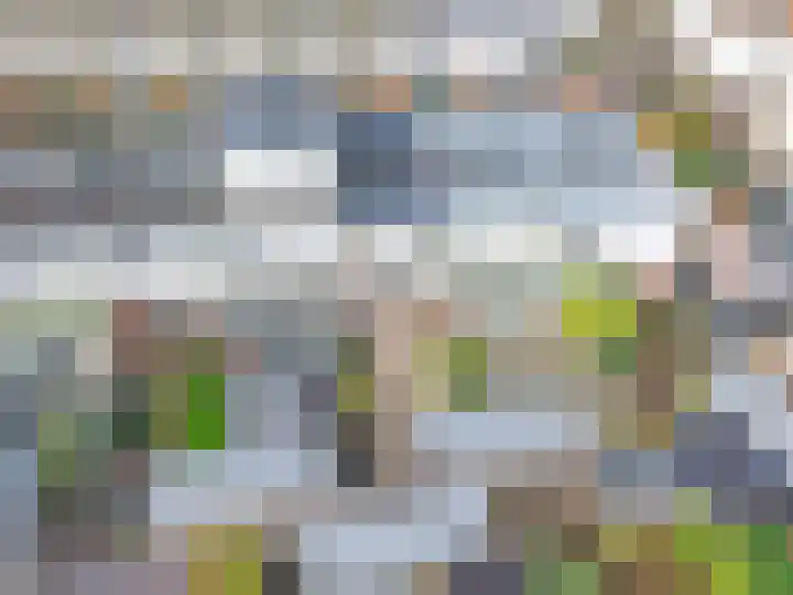 Moerasslak 20 Amersfoort thumbnail 29
