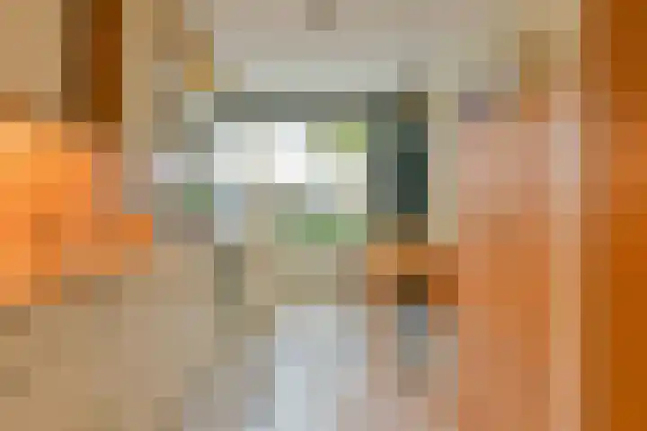 Moerasslak 20 Amersfoort thumbnail 5