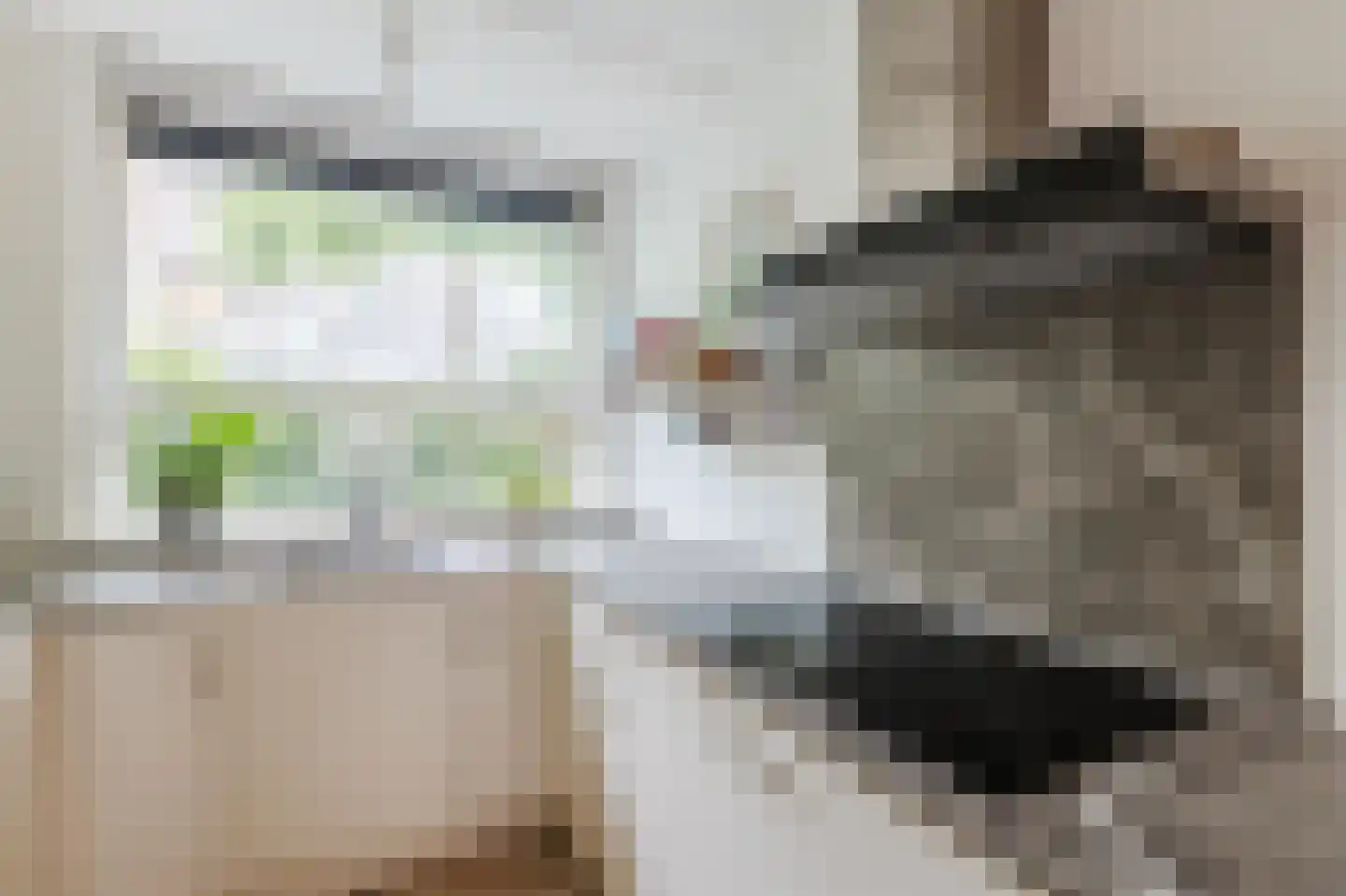 Moerasslak 25 Amersfoort thumbnail 10