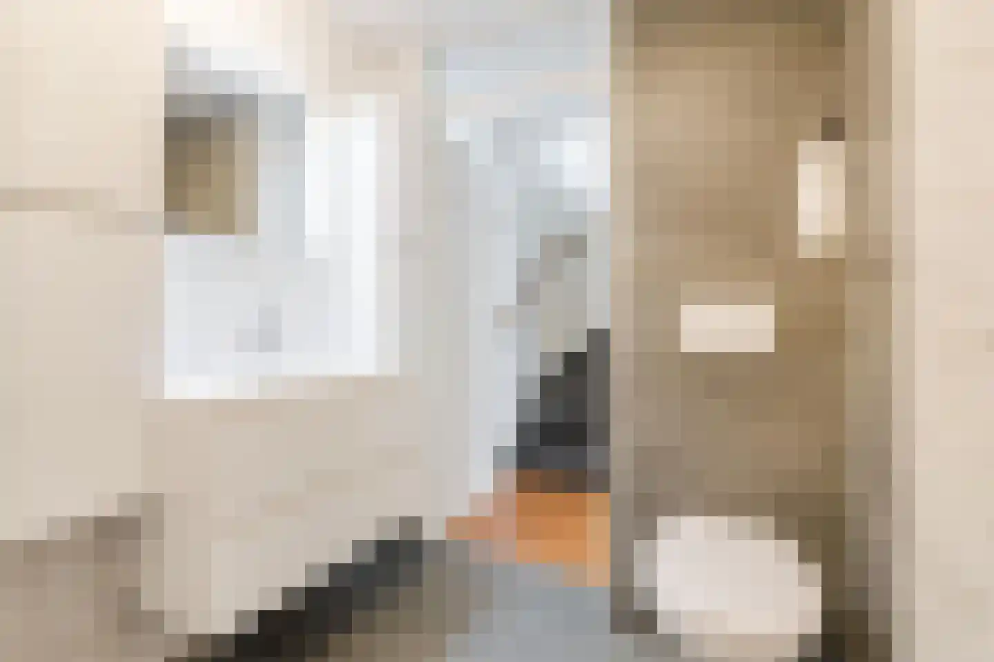 Moerasslak 25 Amersfoort thumbnail 24