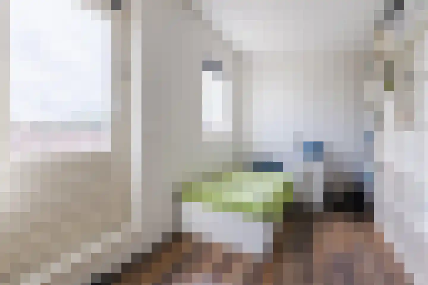 Moerasslak 25 Amersfoort thumbnail 28