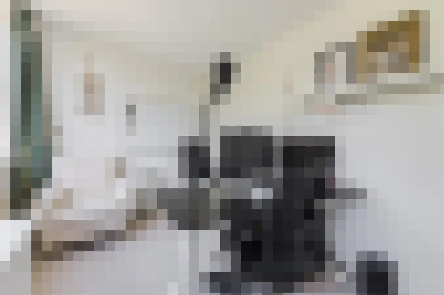 Moerasslak 25 Amersfoort thumbnail 31