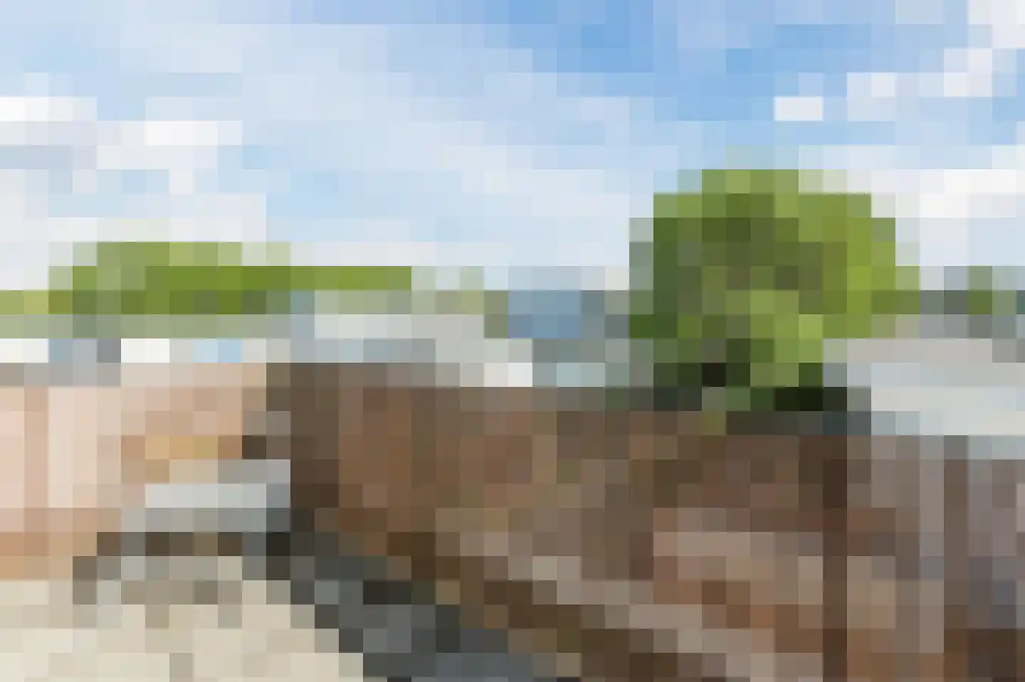 Moerasslak 25 Amersfoort thumbnail 35