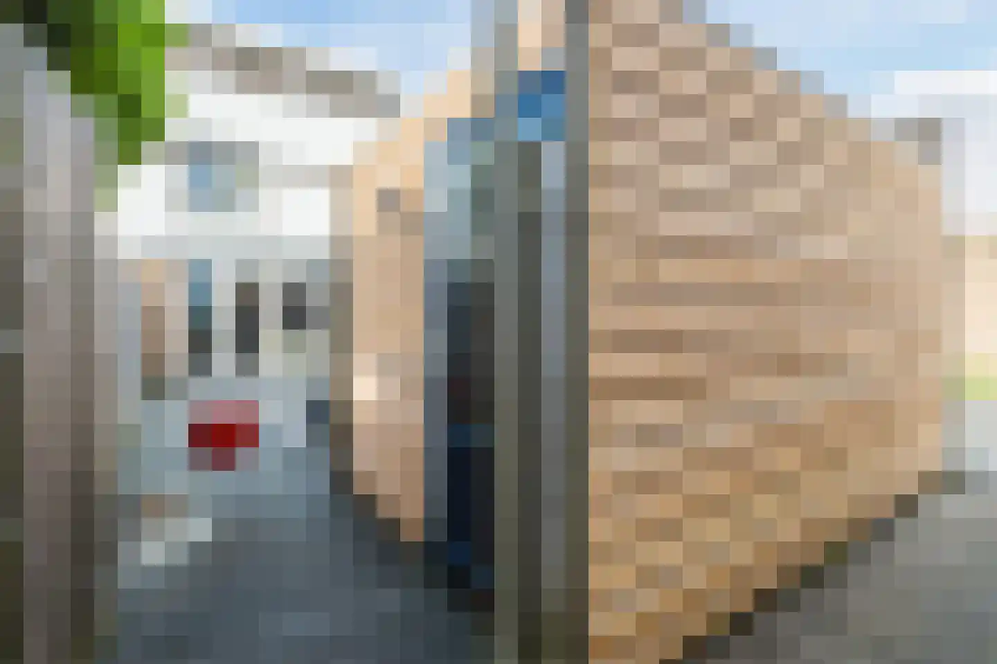 Moerasslak 25 Amersfoort thumbnail 38