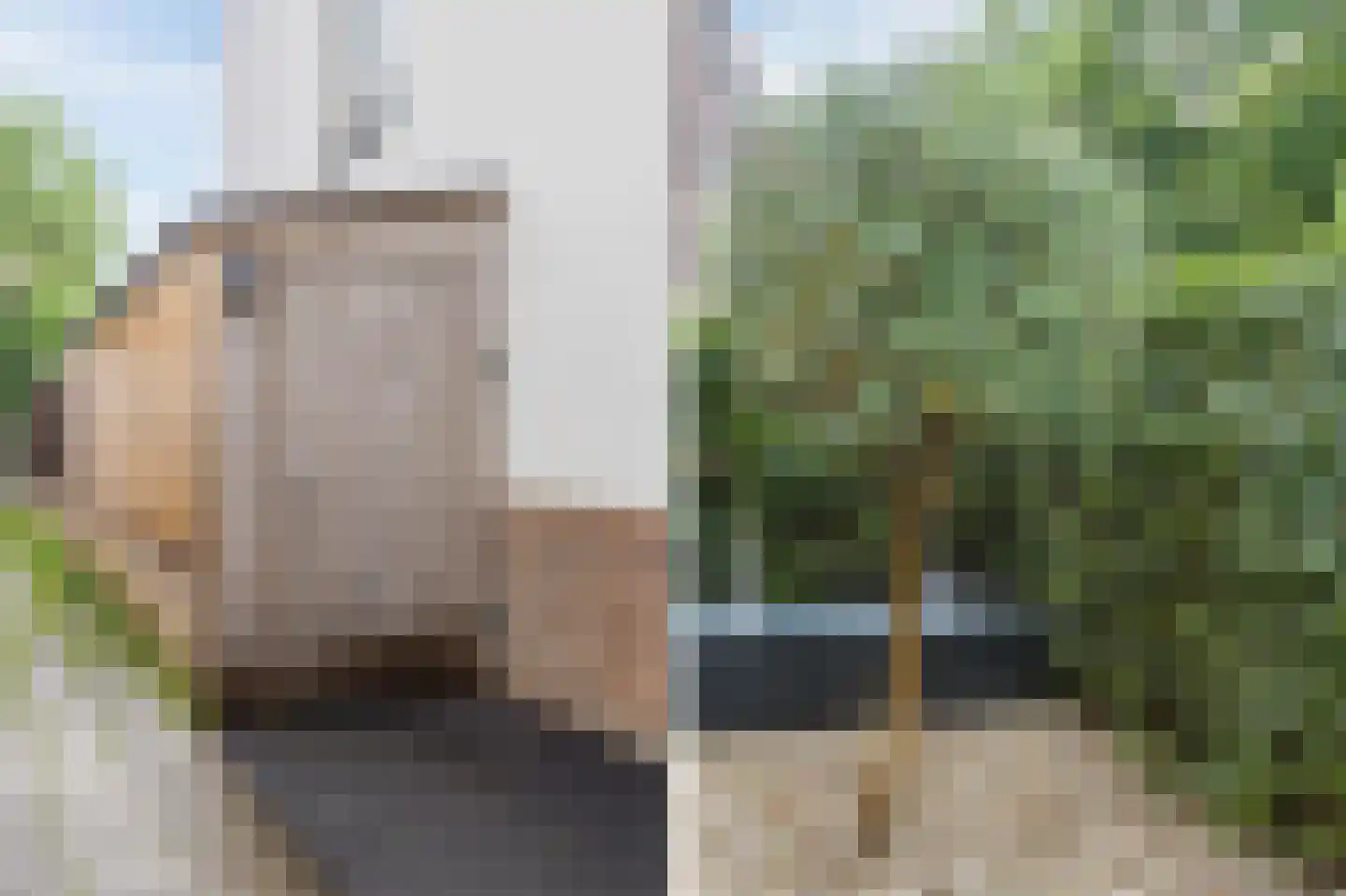 Moerasslak 25 Amersfoort thumbnail 41