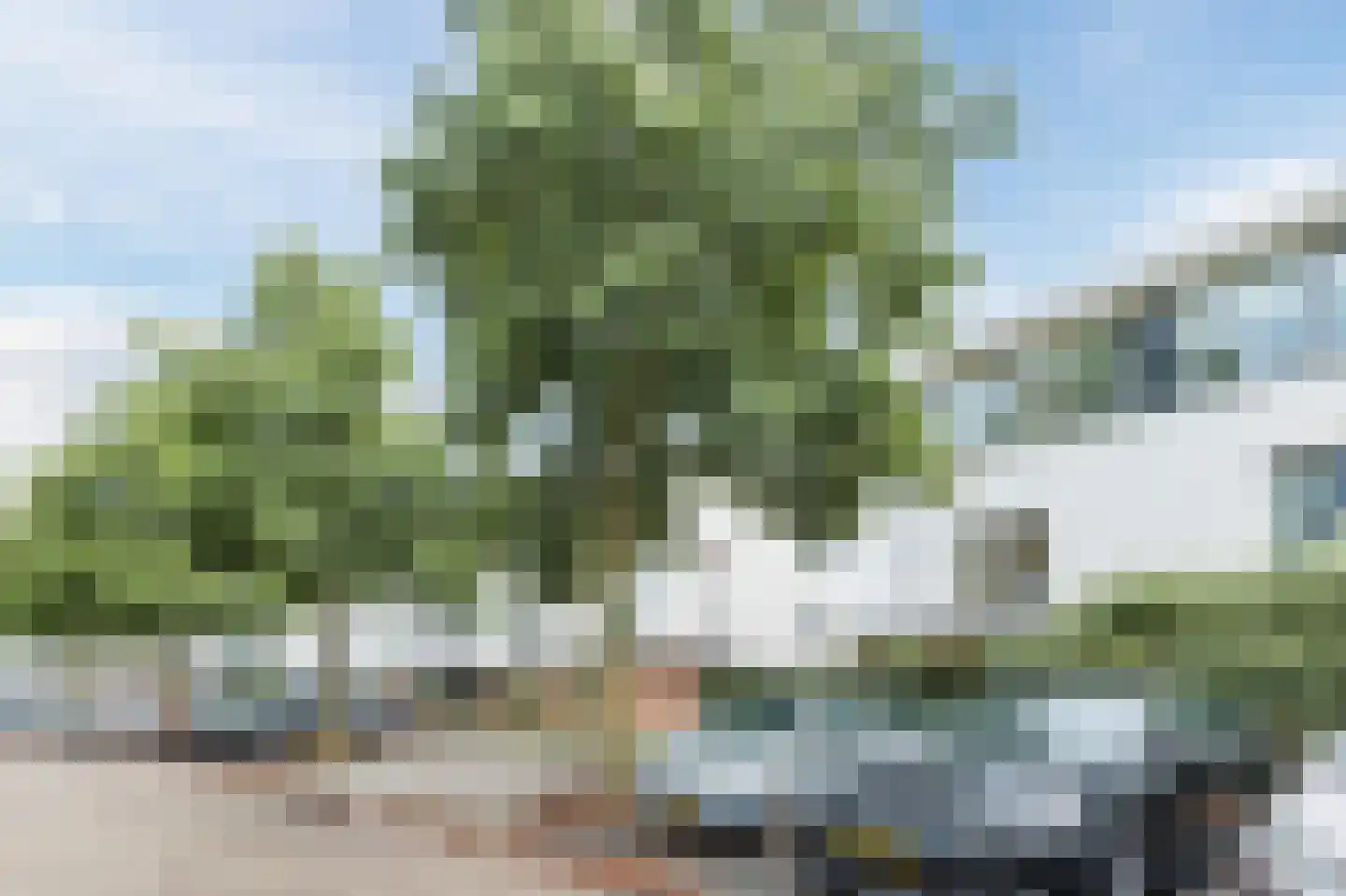 Moerasslak 25 Amersfoort thumbnail 42