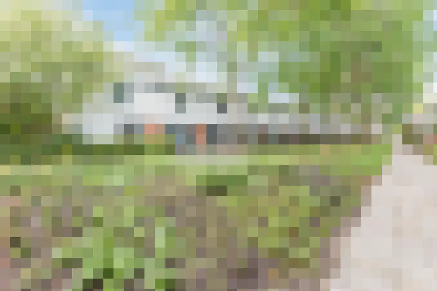 Moerasslak 25 Amersfoort thumbnail 43