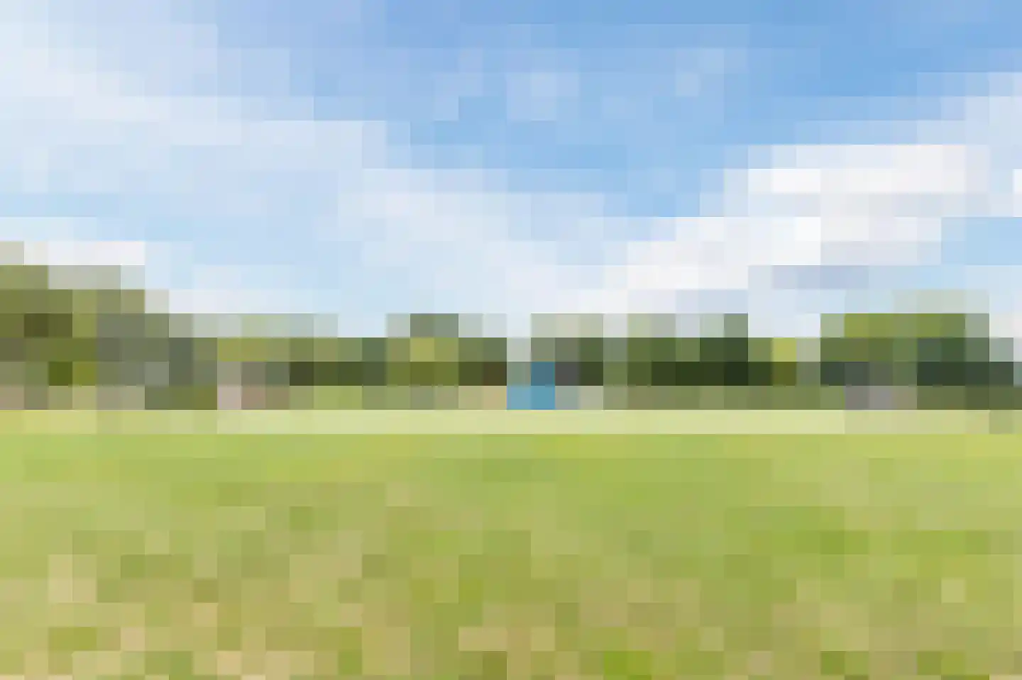 Moerasslak 25 Amersfoort thumbnail 45