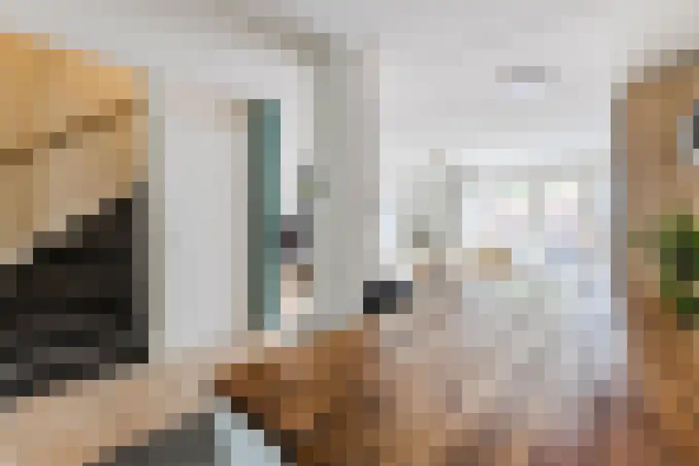 Moerasslak 25 Amersfoort thumbnail 8