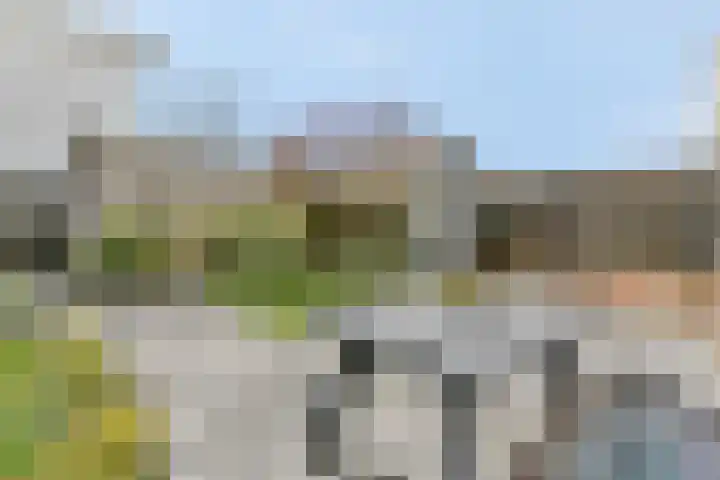 Moerasslak 26 Amersfoort thumbnail 36