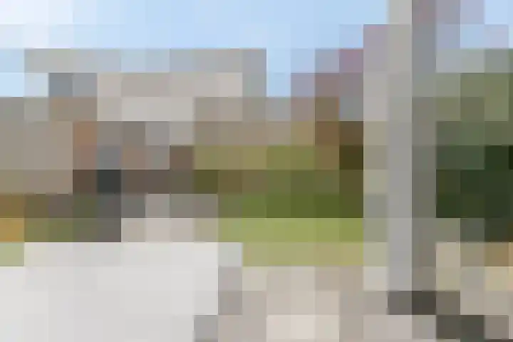 Moerasslak 26 Amersfoort thumbnail 37