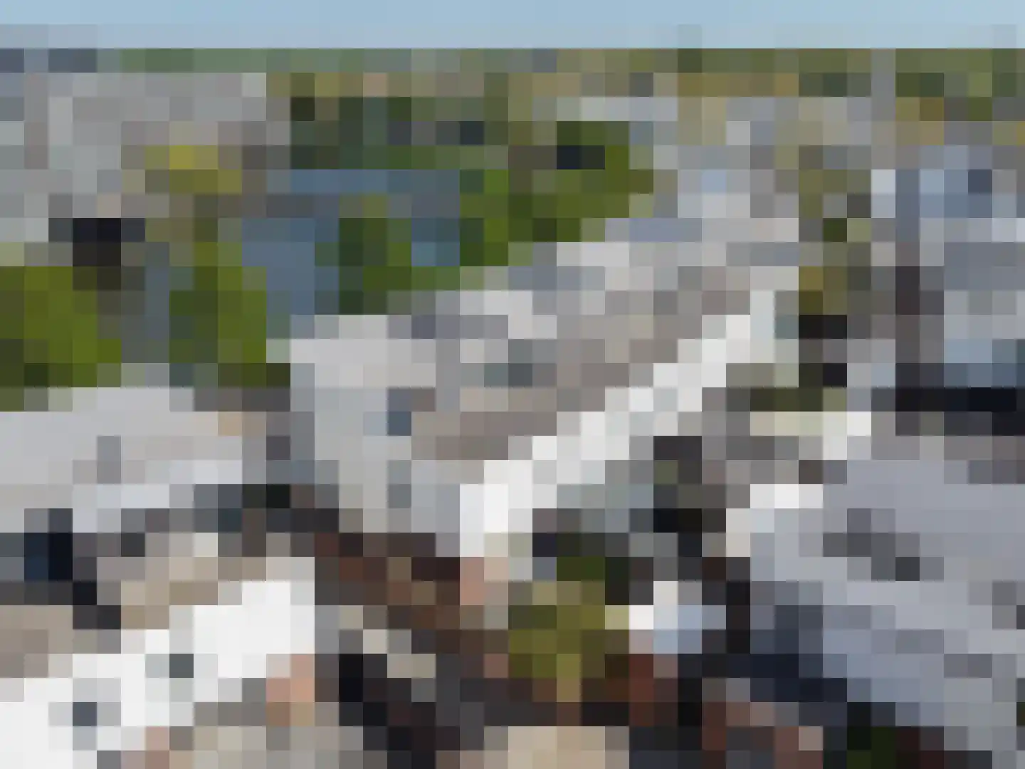 Moerasslak 26 Amersfoort thumbnail 38