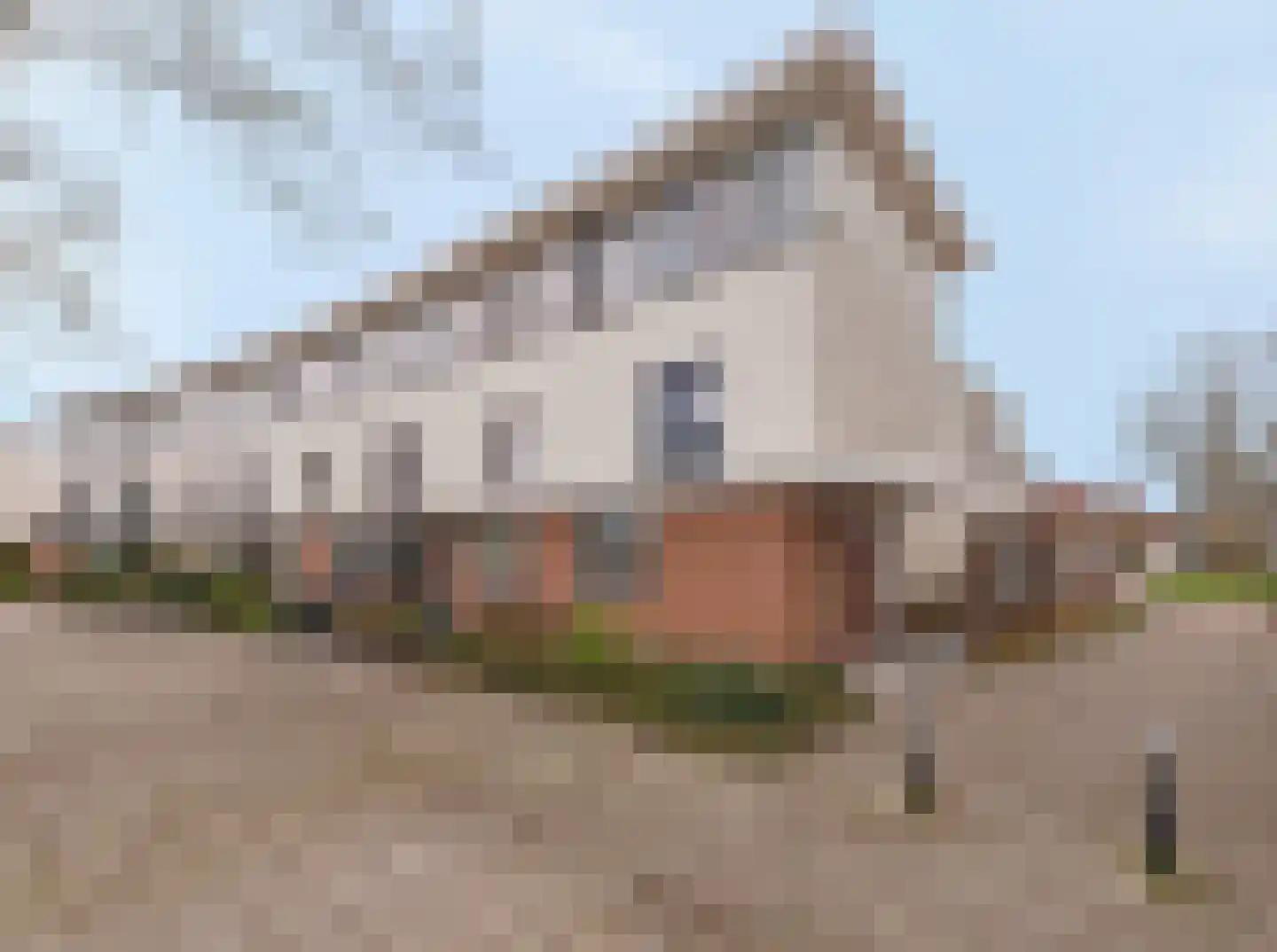 Moerasslak 26 Amersfoort thumbnail 44