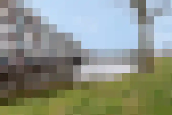 Moerasslak 26 Amersfoort thumbnail 8
