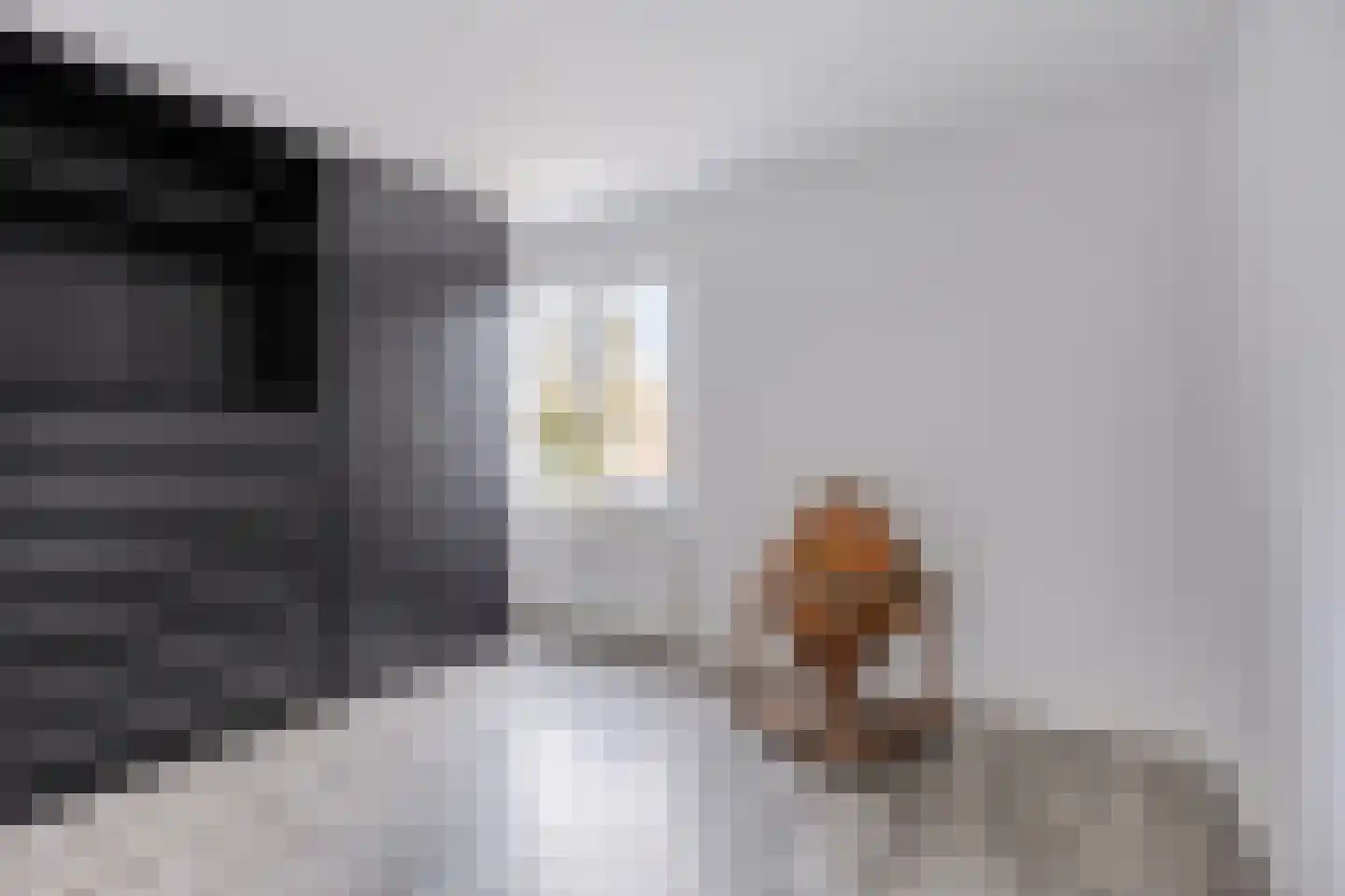 Moerasvaren 110 Purmerend thumbnail 27
