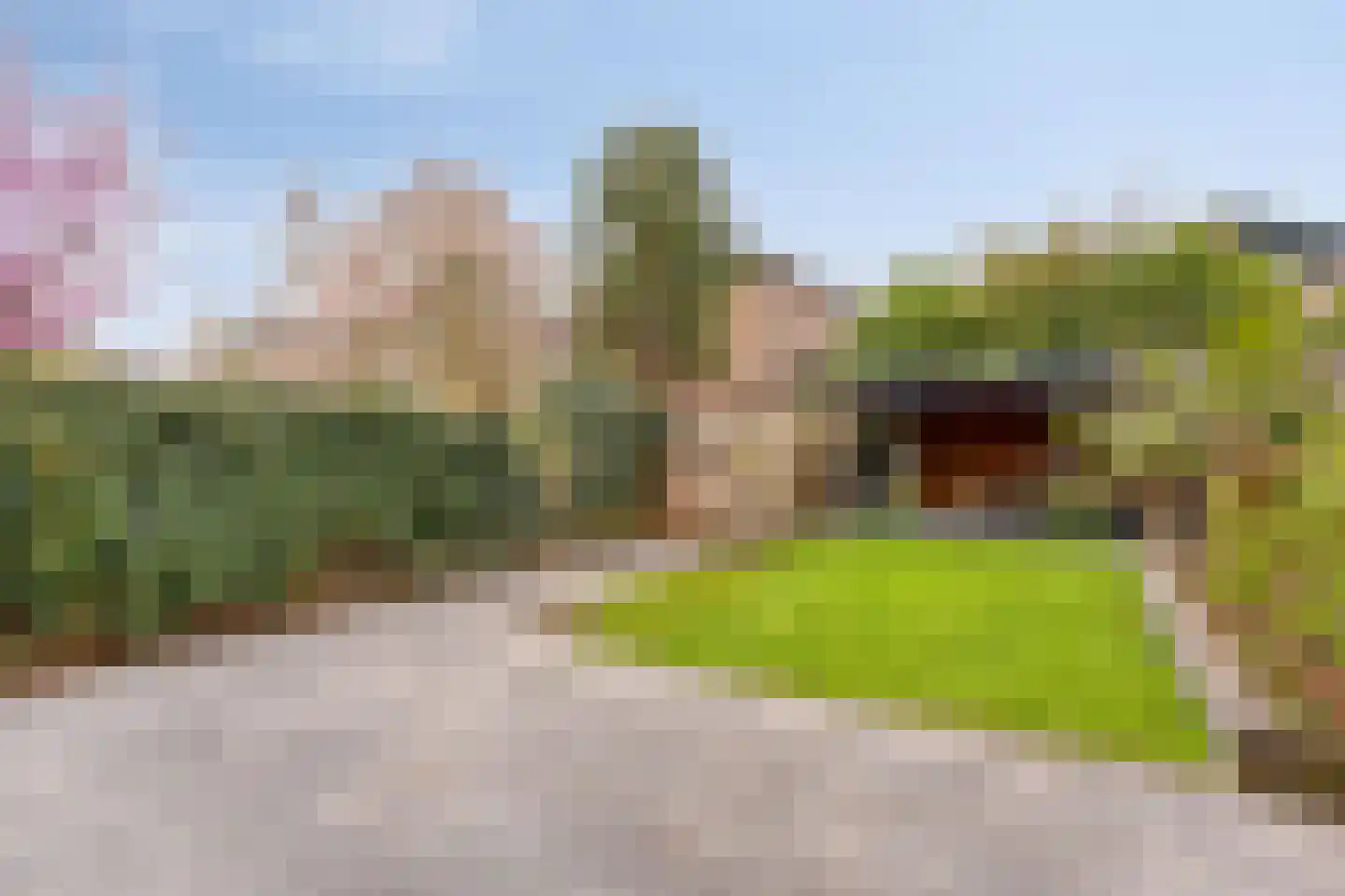 Moerasvaren 110 Purmerend thumbnail 34
