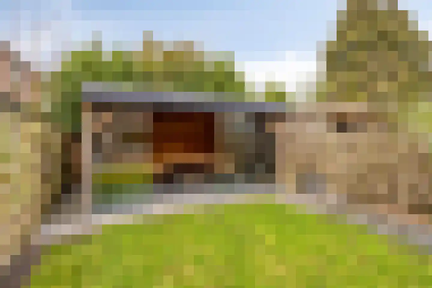 Moerasvaren 110 Purmerend thumbnail 36
