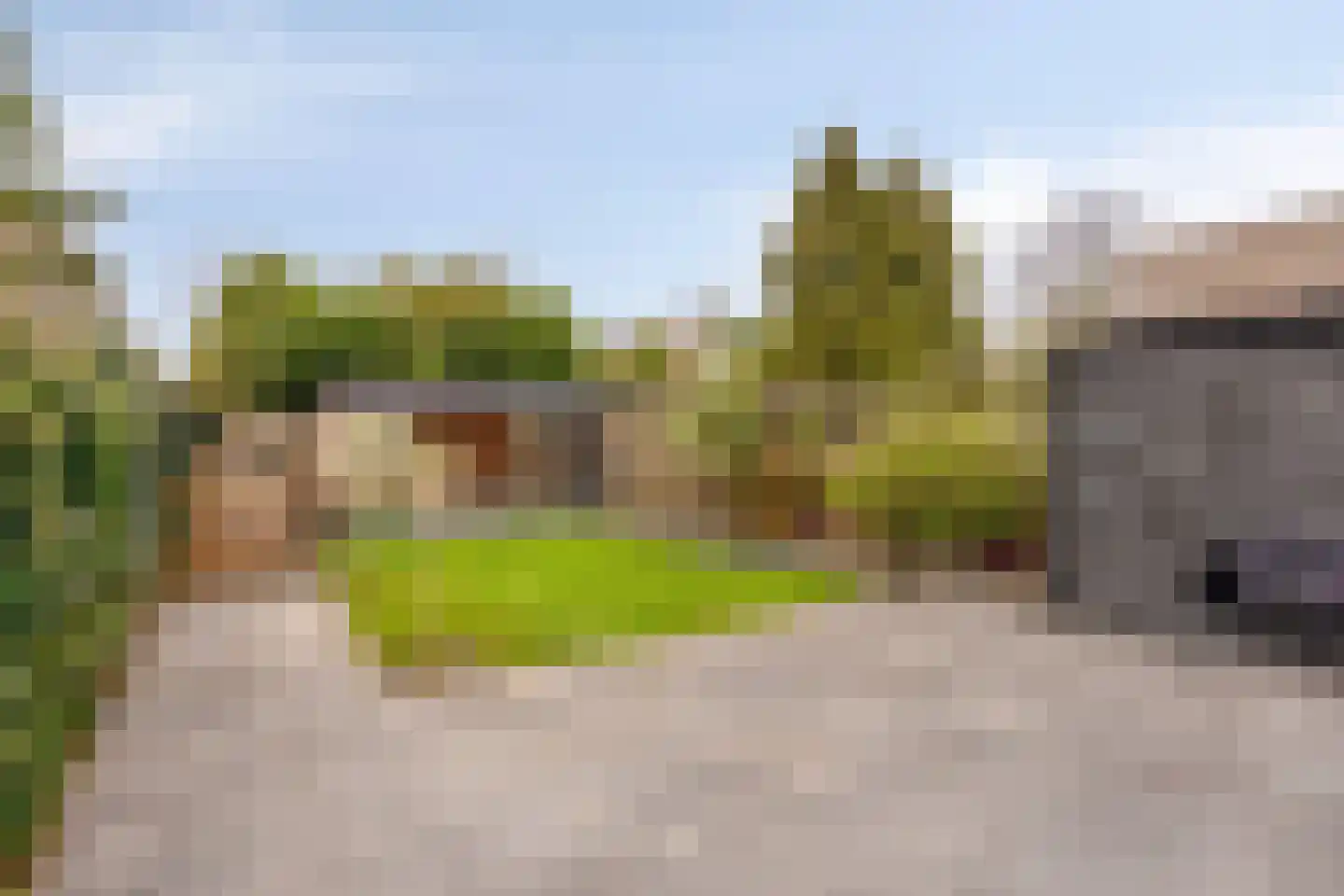 Moerasvaren 110 Purmerend thumbnail 5