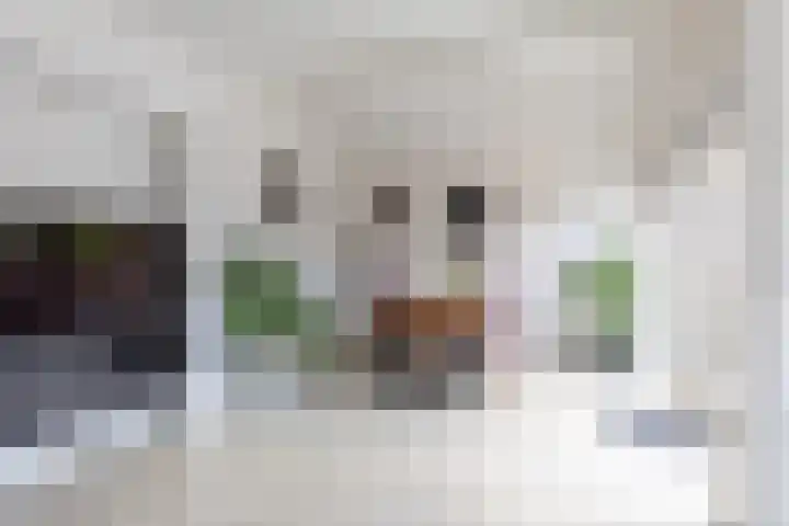 Moerasvaren 118 Purmerend thumbnail 19