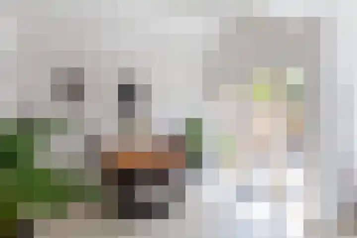 Moerasvaren 118 Purmerend thumbnail 20