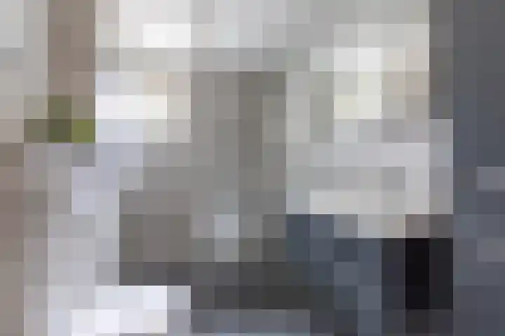 Moerasvaren 118 Purmerend thumbnail 4