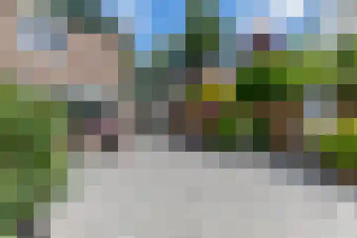 Moerasvaren 118 Purmerend thumbnail 47