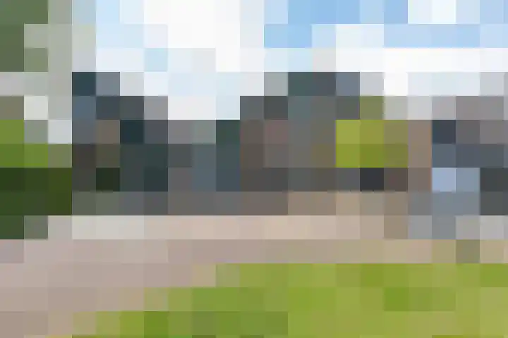 Moerasvaren 118 Purmerend thumbnail 48
