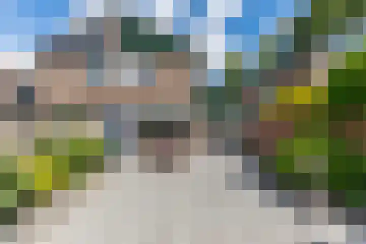 Moerasvaren 118 Purmerend thumbnail 6